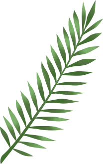 Elements Summer Sale Banner NK5W2VA Leaf 3