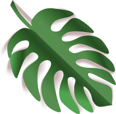 Elements Summer Sale Banner NK5W2VA Leaf 4