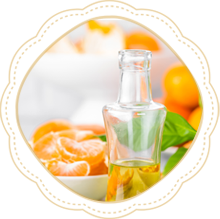 Tangerines With Leaves And Bottle Of Essential PTDT8VP
